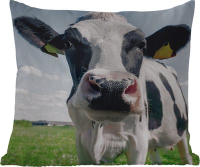 Tuinkussen - Koe - Weiland - Natuur - Dieren - Gras - 40x40 cm - Weerbestendig