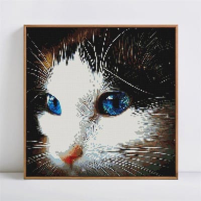 Diamant Schilderij Dier 5D DIY Diamant Borduurwerk Kat Vol Rond Mozaïek Naaldwerk 30x30CM black