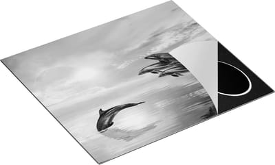Chefcare Inductie Beschermer Groep Dolfijnen Springen uit het Water - Zwart Wit - 60x50 cm - Afdekplaat Inductie - Kookplaat Beschermer - Inductie Mat