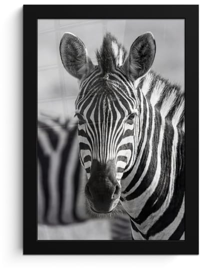 Poster in lijst - Fotolijst 20x30 cm - Posters - Zebra's - Zwart - Wit - Posterlijst zwart - Decoratie - Wanddecoratie woonkamer - Muurdecoratie slaapkamer