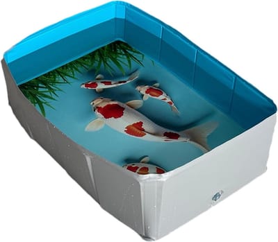 Honden Doorwaadbad - Hondenbadje Opvouwbaar - Huisdier Verzorging - Antislip Bodem - 64x34x20.5cm - Blauw
