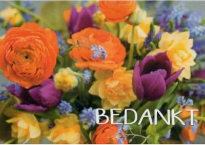 Bedankt! Een mooie kaart met allerlei soorten bloemen in verschillende kleuren. Een leuke kaart om zo te geven of om bij een cadeau te voegen om iemand te bedanken. Een dubbele wenskaart inclusief envelop en in folie verpakt.