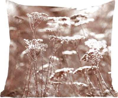 Sierkussens - Kussentjes Woonkamer - 50x50 cm - Planten - Bloemen - Winter - Sneeuw - Sepia