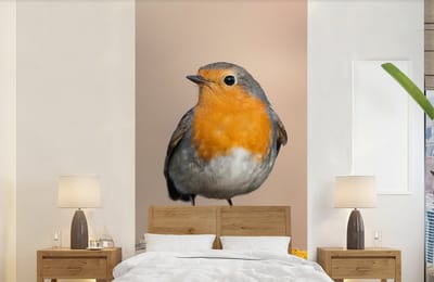 Behang - Fotobehang Roodborstje - Vogel - Tak - Dieren - Breedte 120 cm x hoogte 240 cm
