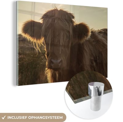 MuchoWow® Glasschilderij 150x100 cm - Schilderij acrylglas - Schotse Hooglander - Zonsondergang - Gras - Foto op glas - Schilderijen