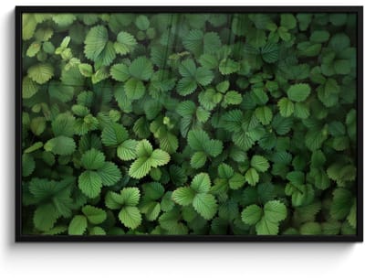 Poster in lijst - Fotolijst 120x80 cm - Posters - Groen - Bladeren - Kartel - Zonlicht - Posterlijst zwart - Decoratie - Wanddecoratie woonkamer - Muurdecoratie slaapkamer