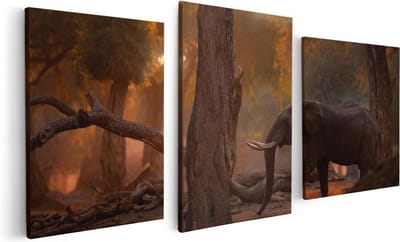 Artaza Canvas Schilderij Drieluik Olifant In het Bos - 120x60 - Foto Op Canvas - Canvas Print
