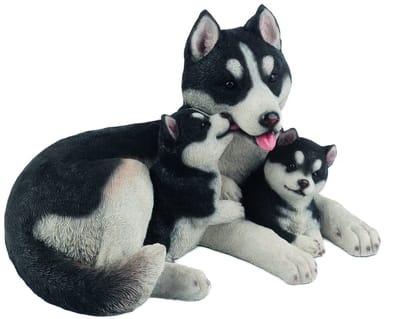 Husky familie