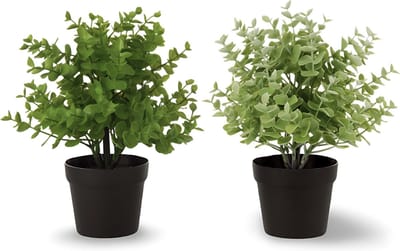 Kunstplant Vetplant In Pot 2 st. - 25 cm