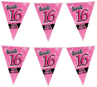 Sweet 16 slingers 10 meter roze - 2x - 16e Verjaardag - Vlaggenlijnen/slingers - Feestversiering