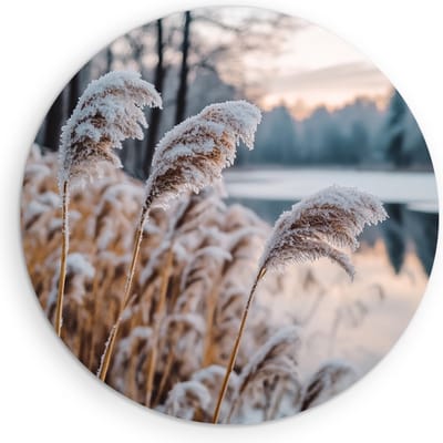 Saammp Muurcirkel Hout - Natuur - Bevroren riet - landschap - Ø 90 - Wandcirkel - Wanddecoratie Cirkel - Muurdecoratie Woonkamer - Slaapkamer decoratie - Rond Schilderij