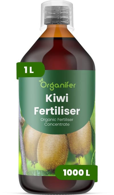 Vloeibare Meststof Voor Kiwi 1 L Voor 1000 L - Npk 2-1-8 - Krachtige Rankgroei - Sterke Scheutvorming - Wortelvitaliteit - Vruchtstevigheid - Zoetheid - Vruchtkwaliteit - Bladontwikkeling - Jaarlijkse Opbrengst - Organifer
