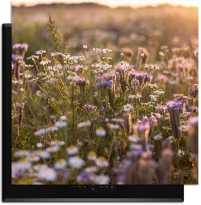 KitchenArt - Evening Meadow - Inductie Beschermer - 59x52 cm - Kookplaat Beschermer - Luxe Afdekplaat Inductieplaat - Anti-slip & Oprolbaar - Beschermmat Inductiekookplaat