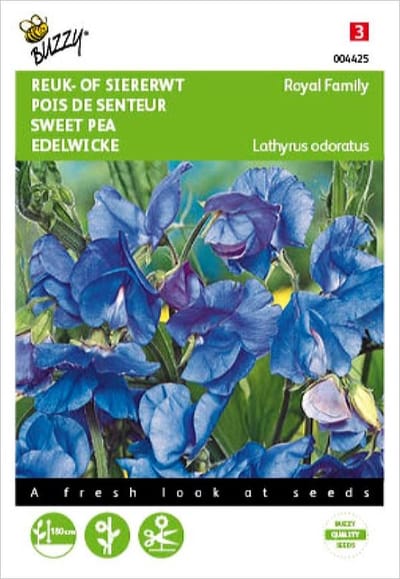 Reukerwt Royal Family blauw - Lathyrus odoratus