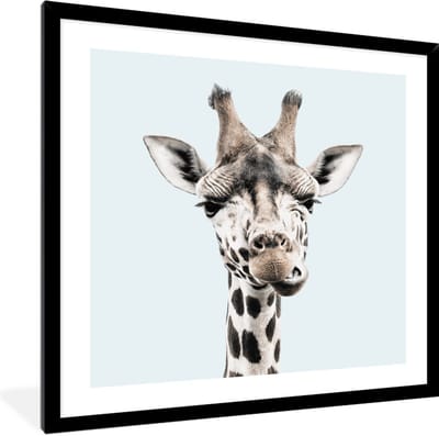 FrameYourWall® - Fotolijst met poster 40x40 - Giraf - Wilde dieren - Blauw - Portret - Fotokader van hout - Kaders en lijsten - Houten fotolijstje - Wissellijst voor muurposter - Picture en photo frame - Posterlijst - Fotohouder