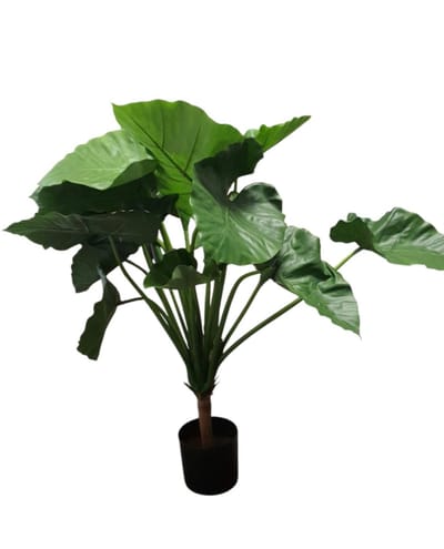 Mica Decorations kunstplant Alocasia Calioora H100 x D80cm ,Groen
