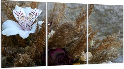 TMK ArtDeko - Glazen Beschermer voor Fornuis - 3x 30x52 cm - Hittebestendige Bescherming