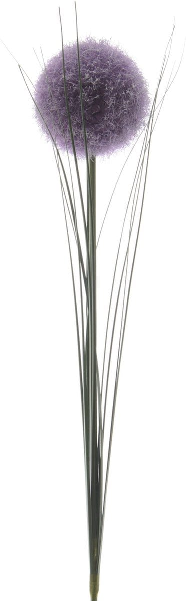 Decoris Kunstbloem Allium dia7-H66cm
