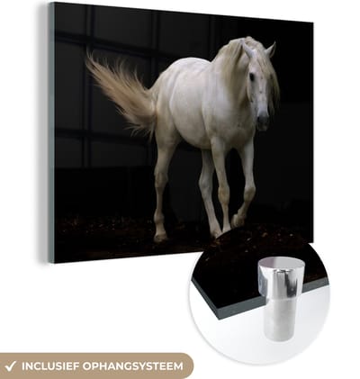 MuchoWow® Glasschilderij 160x120 cm - Schilderij acrylglas - Paarden - Boerderijdieren - Zwart - Foto op glas - Schilderijen