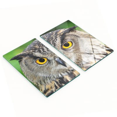 Multifunctionele decoratieve keukenplanken van gehard glas met uilmotief, 2x30x52 cm