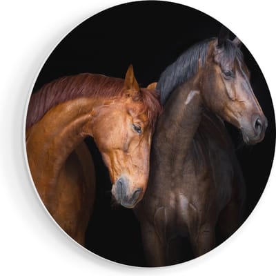 Artaza Forex Muurcirkel Twee Bruine Paarden Koppel - Liefde - 80x80 cm - Groot - Wandcirkel - Rond Schilderij - Wanddecoratie Cirkel