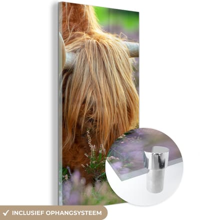 MuchoWow® Glasschilderij 20x40 cm - Schilderij acrylglas - Schotse Hooglander - Hoorns - Heide - Foto op glas - Schilderijen