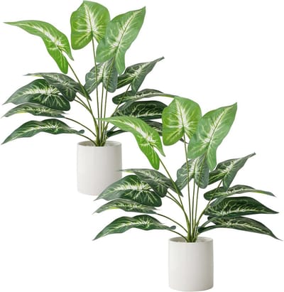 SnelShoppen - 2 Stuks Nepplant in Witte Keramische Pot - Kunstplanten voor Binnen - Groene Bladeren Decoratie voor Bureau, Kantoor, Plank, Badkamer, S