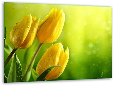 TMK ArtDeko - Snijplank - Glas - 40x30 cm - Tulpen Design