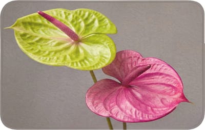 WC mat 80x50 cm - Antislip - Planten - Anthurium - Groen - Roze - Toiletmat - Vloermat - Douchemat - Toilet tapijt - Toiletmatten