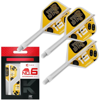 Target K-Flex You Win NO6 - Dart Flights