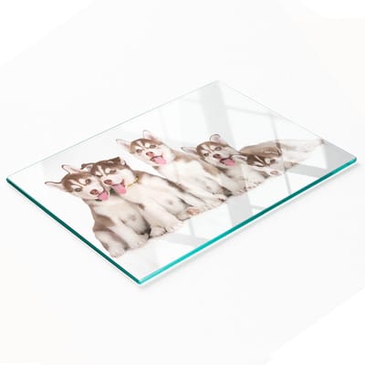 Decoratieve glazen keukensnijplank met huskypuppy's, 80x52 cm