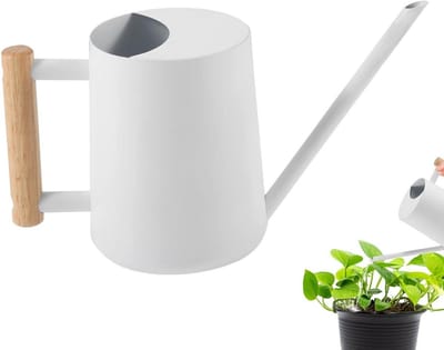 Stalen Gieter 1000 ml voor Kamerplanten met Lange Tuit en Afneembare Douchekop