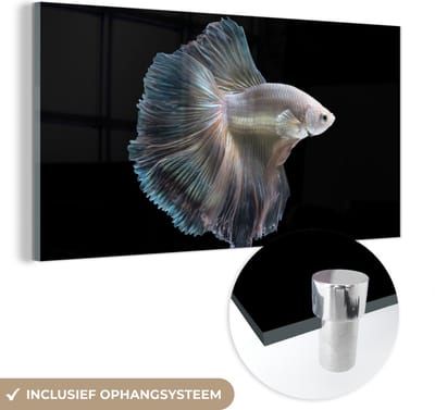 MuchoWow® Glasschilderij 40x20 cm - Schilderij acrylglas - Vis - Staart - Wit - Foto op glas - Schilderijen