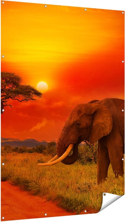 Gards Tuinposter Olifant in het Wild tijdens Zonsondergang - 120x180 cm - Tuindoek - Tuindecoratie - Wanddecoratie buiten - Tuinschilderij