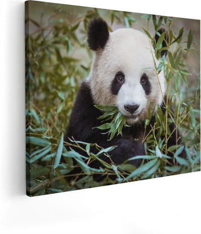 Artaza Canvas Schilderij Dieren - 50x40 cm - Wanddecoratie Panda - Muurdecoratie Jungle - Kamer Accessoires