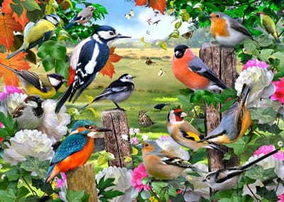 Werkblad Beschermer - Aanrecht Bescherming - Keuken Werkruimte - Getextureerd Oppervlak - 50x40cm - Vogels Design