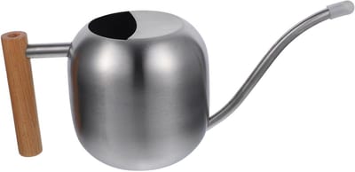 Water Gieter - Bloemen Gieter - Binnen Planten - Lange Tuit - 30 cm - Zilver