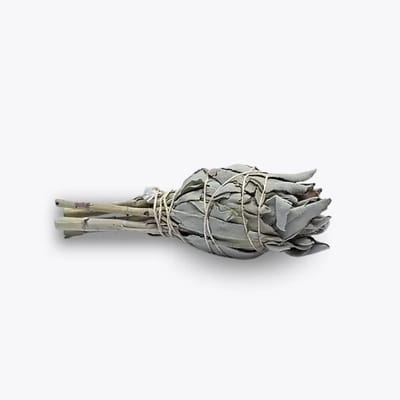 Witte Salie Smudge Fakkel - Voor Energetische Reiniging - White Sage -  1 stuk - 10 cm - 20 gram