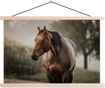 Posterhanger incl. Poster 150x100 cm - Schoolplaat - Paard - Licht - Bos - Textielposter - Blanke latten