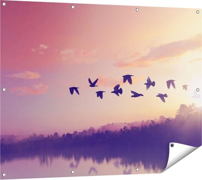 Gards Tuinposter Silhouet Vogels tijdens Zonsondergang - 120x90 cm - Tuindoek - Tuindecoratie - Wanddecoratie buiten - Tuinschilderij