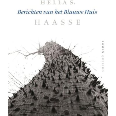 Berichten Van Het Blauwe Huis - Hella S. Haasse