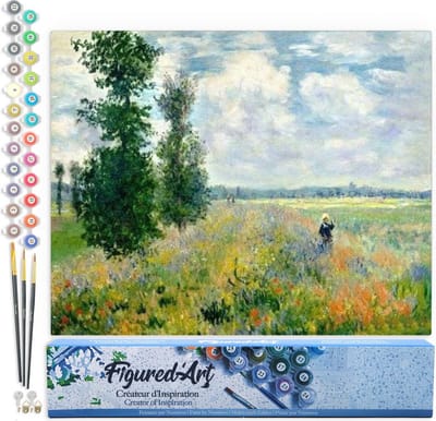 Figured'Art Schilderen op Nummer Volwassenen canvas Monet Veld met klaprozen - Handwerk acrylverf Kit DIY Compleet - 40x50cm zonder frame