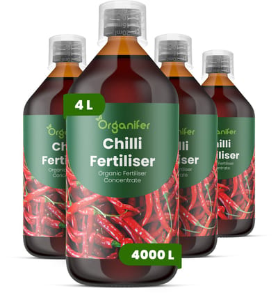 Vloeibare Meststof Voor Chili 4X1 L Voor 4000 L - Npk 2-1-8 - Krachtige Groei - Sterke Vruchtzetting - Hoge Opbrengst - Wortelontwikkeling - Smaakrijke Peulen - Kleurintensiteit - Hittebestendig - Peulstevigheid - Continue Bloei - Organifer