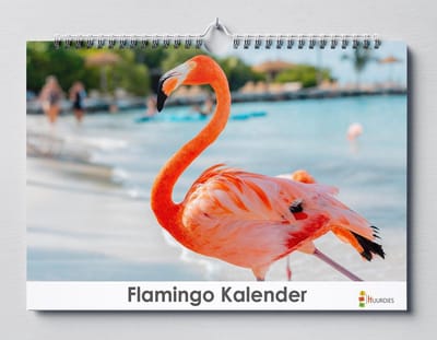 Flamingo kalender 35x24 cm | Flamingo verjaardagskalender |Flamingo wandkalender| Kalender 35 x 24 cm