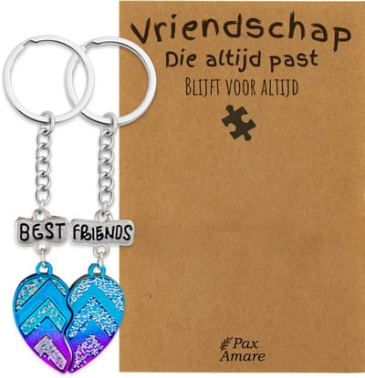 BFF Sleutelhanger voor 2 'Vriendschap die altijd past' - Magnetisch Best Friends Hartje - Sleutelhanger set op Cadeau Kaartje - Zilverkleurig - Vriendschap Symbool - Pax Amare