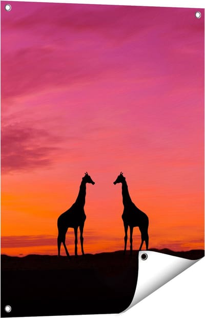 Gards Tuinposter Twee Giraffe Silhouetten bij Zonsondergang - 60x80 cm - Tuindoek - Tuindecoratie - Wanddecoratie buiten - Tuinschilderij