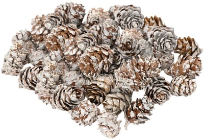 Decoris Kleine decoratie dennenappeltjes - 180 gram - bruin - 1,5-2 cm