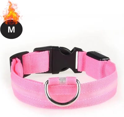 Bovista Lichtgevende Halsband - Verlichte Halsband - Lichtgevend - Hond - Kat - Lampje - Hondenhalsband Led - Roze - M