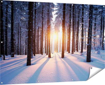Gards Tuinposter Bos met Sneeuw tijdens de Zonsondergang - 150x100 cm - Tuindoek - Tuindecoratie - Wanddecoratie buiten - Tuinschilderij