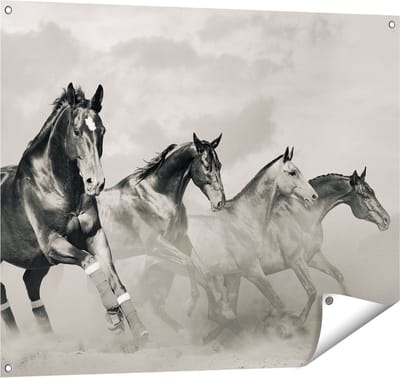 Gards Tuinposter Vier Paarden naast Elkaar - Zwart Wit - 100x80 cm - Tuindoek - Tuindecoratie - Wanddecoratie buiten - Tuinschilderij